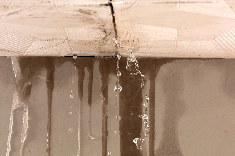 Wasserschadenbeseitigung Niedersachsen Cattau Bau